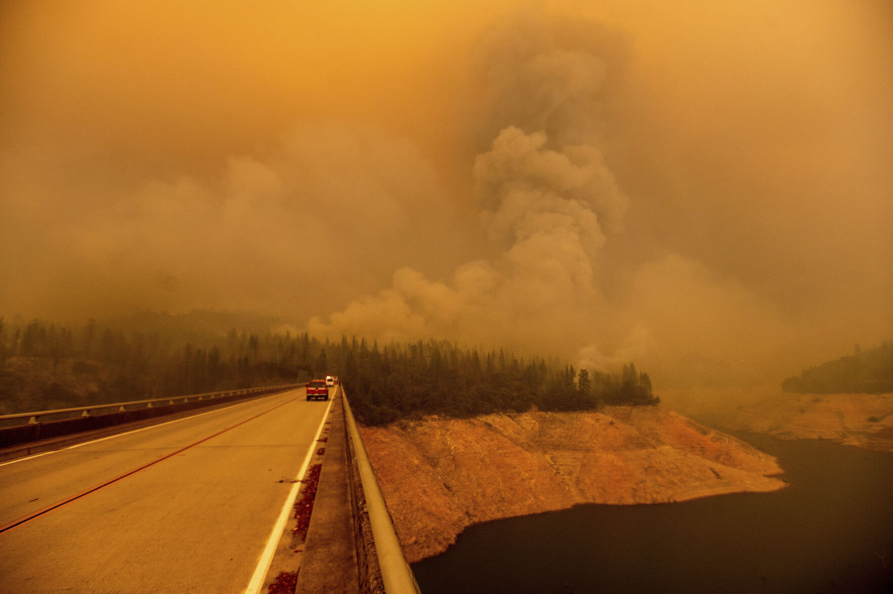 2020: Wildfires